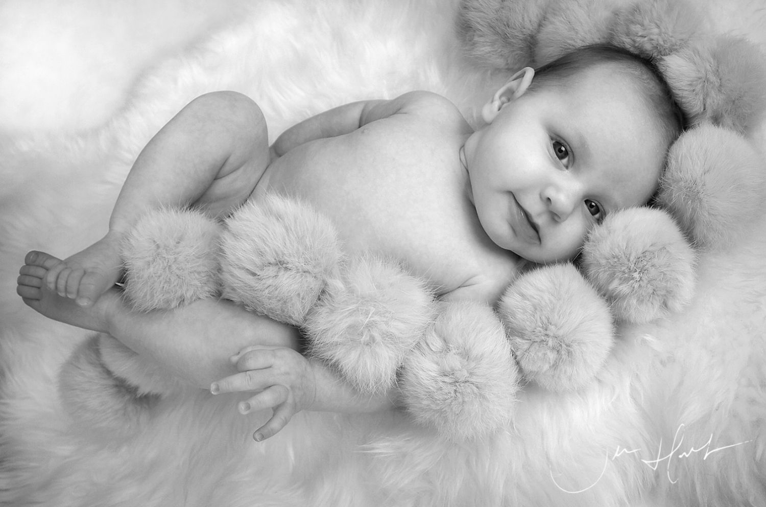 Baby-Studio-Photography-Jen-Hart-Pompm
