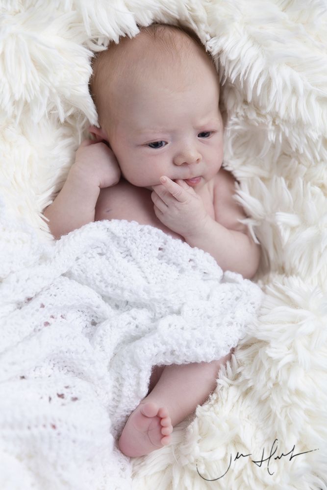 Baby-Newborn-Photography-Jen-Hart-Grace-24092020-0036